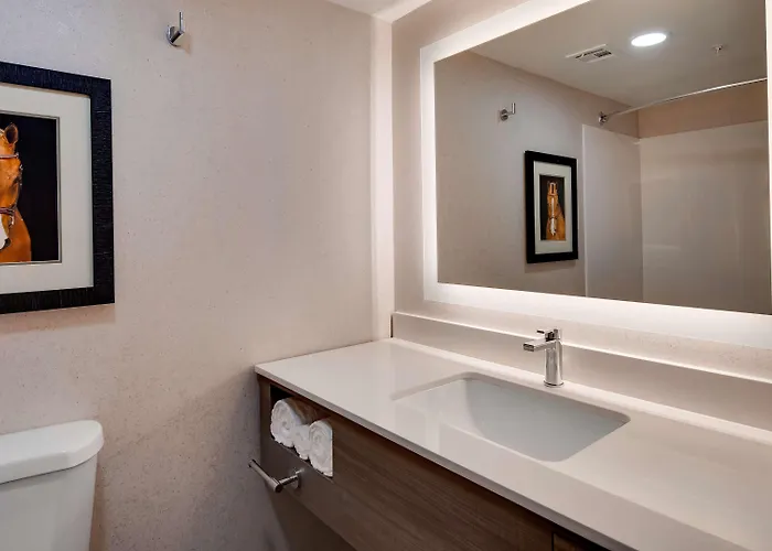 Hotel Aiden By Western North 3*