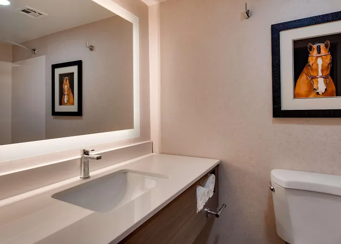 Aiden By Western North Hotel 3*