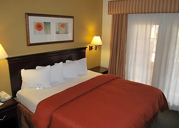 Aiden By Western North Hotel Scottsdale